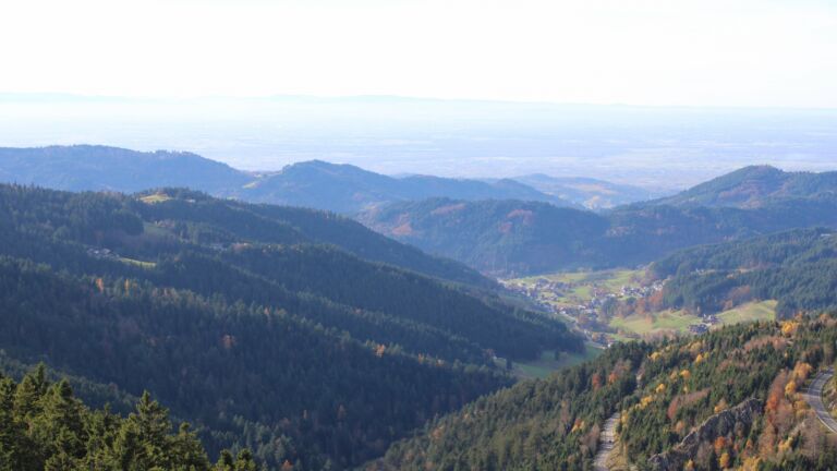 Dieses Bild zeigt eine Webcam-Aufnahme vom Achertal, aufgenommen am Dienstag, den 04.11.2025 um 14:50 Uhr. Die Temperatur betrug 12.2°C.