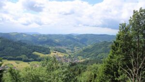 Dieses Bild zeigt eine Webcam-Aufnahme vom Achertal, aufgenommen am Freitag, den 05.06.2026 um 12:50 Uhr. Die Temperatur betrug 14.8°C.