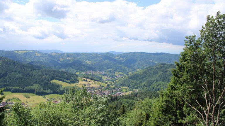 Dieses Bild zeigt eine Webcam-Aufnahme vom Achertal, aufgenommen am Freitag, den 05.06.2026 um 12:50 Uhr. Die Temperatur betrug 14.8°C.