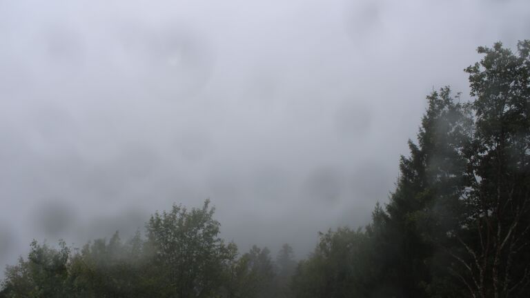 Dieses Bild zeigt eine Webcam-Aufnahme vom Achertal, aufgenommen am Donnerstag, den 08.10.2026 um 11:10 Uhr. Die Temperatur betrug 11.2°C.