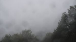 Dieses Bild zeigt eine Webcam-Aufnahme vom Achertal, aufgenommen am Samstag, den 17.10.2026 um 09:50 Uhr. Die Temperatur betrug 10.8°C.