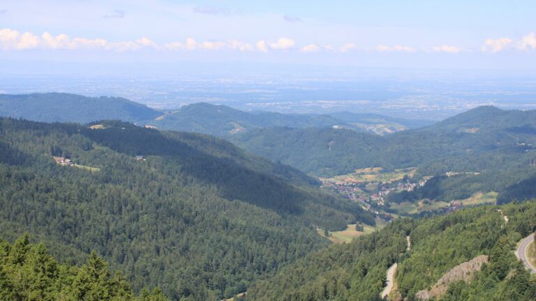 Dieses Bild zeigt eine Webcam-Aufnahme vom Achertal, aufgenommen am Samstag, den 12.07.2025 um 11:30 Uhr. Die Temperatur betrug 17.3°C.