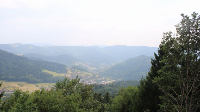 Dieses Bild zeigt eine Webcam-Aufnahme vom Achertal, aufgenommen am Freitag, den 31.07.2026 um 17:00 Uhr. Die Temperatur betrug 29.5°C.