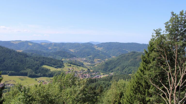 Dieses Bild zeigt eine Webcam-Aufnahme vom Achertal, aufgenommen am Montag, den 20.07.2026 um 11:50 Uhr. Die Temperatur betrug 19.7°C.