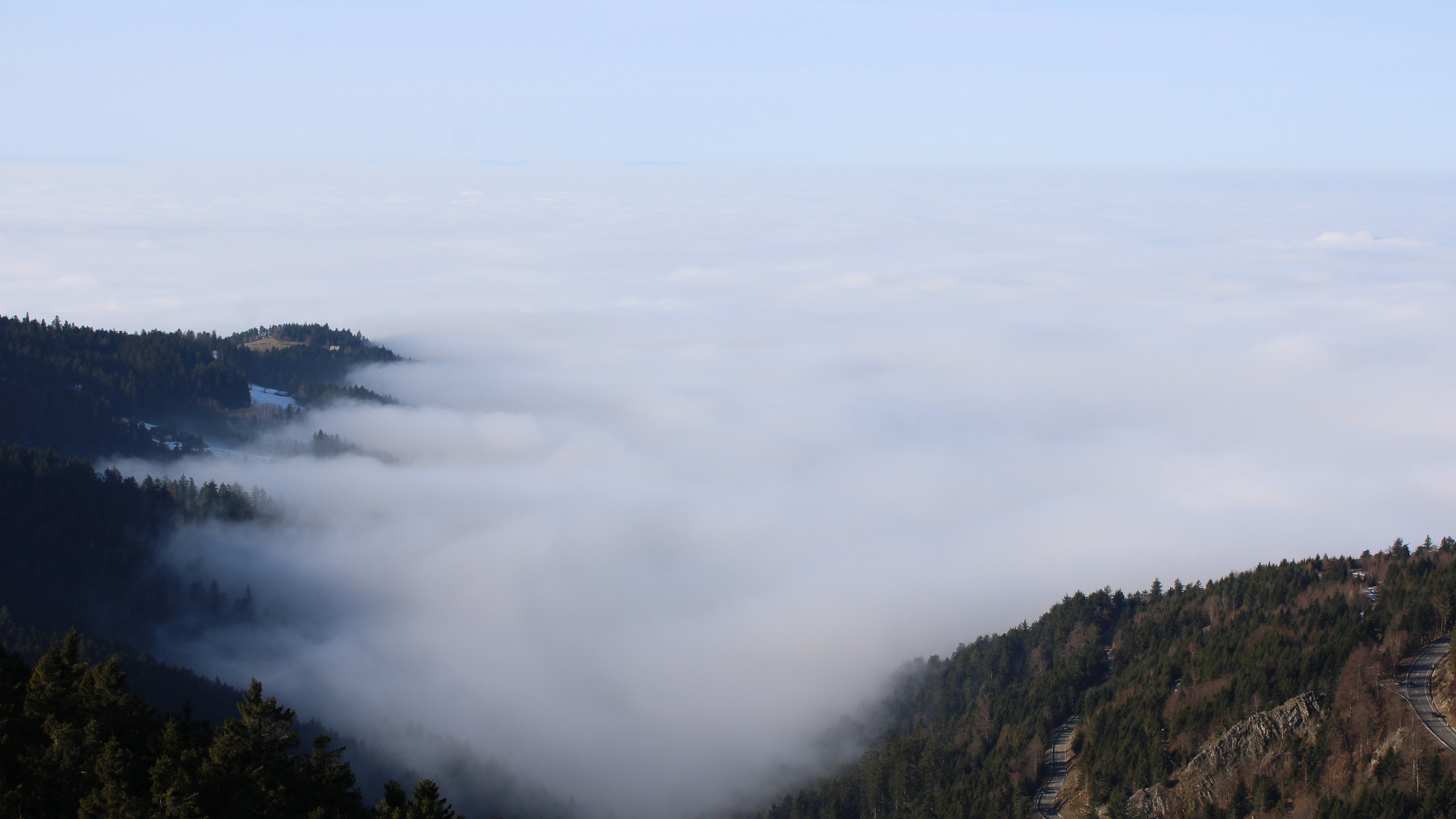 Zum Fotoarchiv vom Sonntag, 18. Januar 2026
