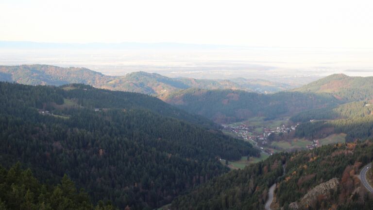 Dieses Bild zeigt eine Webcam-Aufnahme vom Achertal, aufgenommen am Mittwoch, den 12.11.2025 um 08:20 Uhr. Die Temperatur betrug 11.8°C.