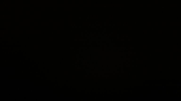 Dieses Bild zeigt eine Webcam-Aufnahme vom Achertal, aufgenommen am Sonntag, den 16.11.2025 um 20:00 Uhr. Die Temperatur betrug 6.2°C.