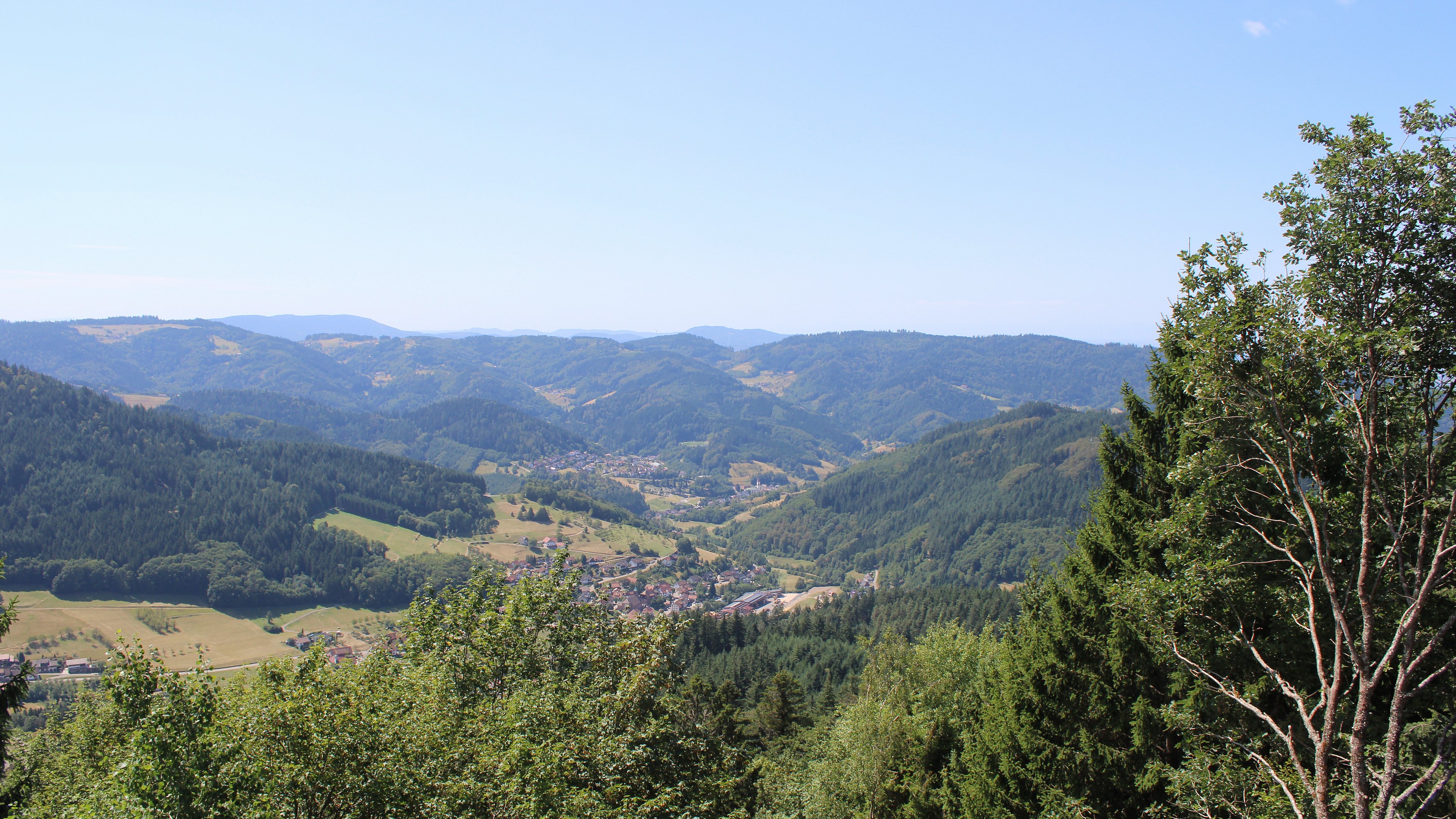 Zum Fotoarchiv vom Freitag, 7. August 2026