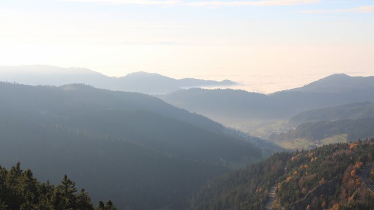 Dieses Bild zeigt eine Webcam-Aufnahme vom Achertal, aufgenommen am Samstag, den 08.11.2025 um 15:40 Uhr. Die Temperatur betrug 11.6°C.