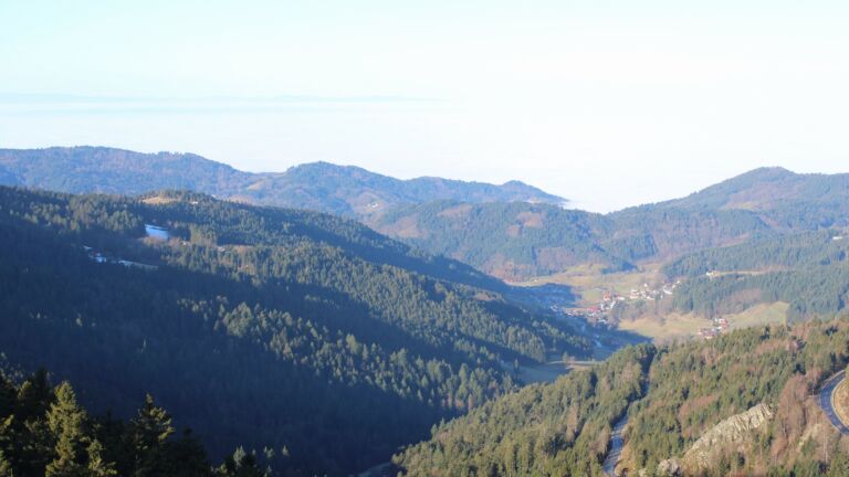 Dieses Bild zeigt eine Webcam-Aufnahme vom Achertal, aufgenommen am Sonntag, den 08.02.2026 um 09:50 Uhr. Die Temperatur betrug 3.1°C.