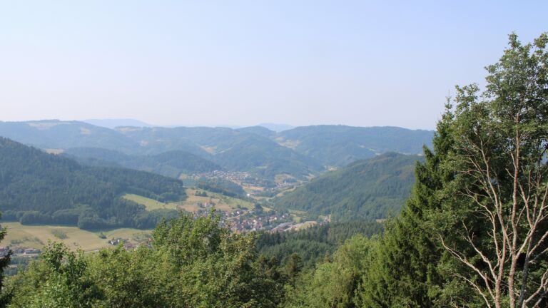 Dieses Bild zeigt eine Webcam-Aufnahme vom Achertal, aufgenommen am Donnerstag, den 30.07.2026 um 11:30 Uhr. Die Temperatur betrug 32.9°C.