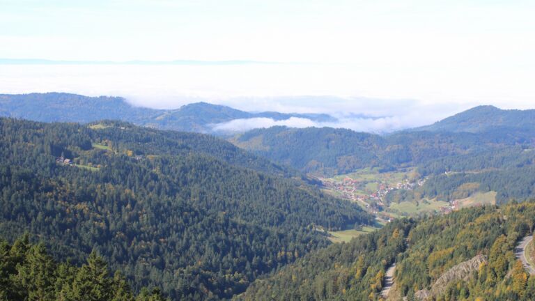 Dieses Bild zeigt eine Webcam-Aufnahme vom Achertal, aufgenommen am Mittwoch, den 08.10.2025 um 12:00 Uhr. Die Temperatur betrug 18.3°C.