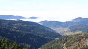 Dieses Bild zeigt eine Webcam-Aufnahme vom Achertal, aufgenommen am Freitag, den 07.11.2025 um 12:10 Uhr. Die Temperatur betrug 10.9°C.