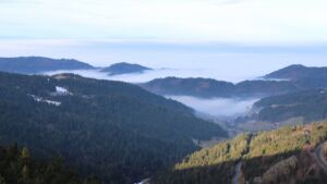 Dieses Bild zeigt eine Webcam-Aufnahme vom Achertal, aufgenommen am Freitag, den 23.01.2026 um 09:40 Uhr. Die Temperatur betrug 3.1°C.