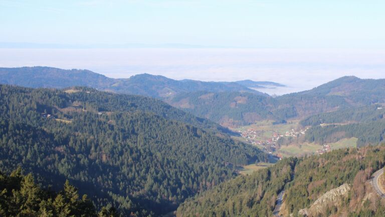 Dieses Bild zeigt eine Webcam-Aufnahme vom Achertal, aufgenommen am Donnerstag, den 26.02.2026 um 09:40 Uhr. Die Temperatur betrug 11°C.