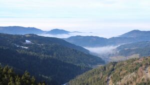 Dieses Bild zeigt eine Webcam-Aufnahme vom Achertal, aufgenommen am Freitag, den 23.01.2026 um 11:50 Uhr. Die Temperatur betrug 7.6°C.