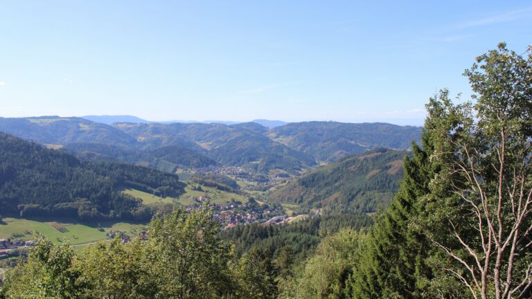 Dieses Bild zeigt eine Webcam-Aufnahme vom Achertal, aufgenommen am Samstag, den 12.09.2026 um 11:50 Uhr. Die Temperatur betrug 21.8°C.