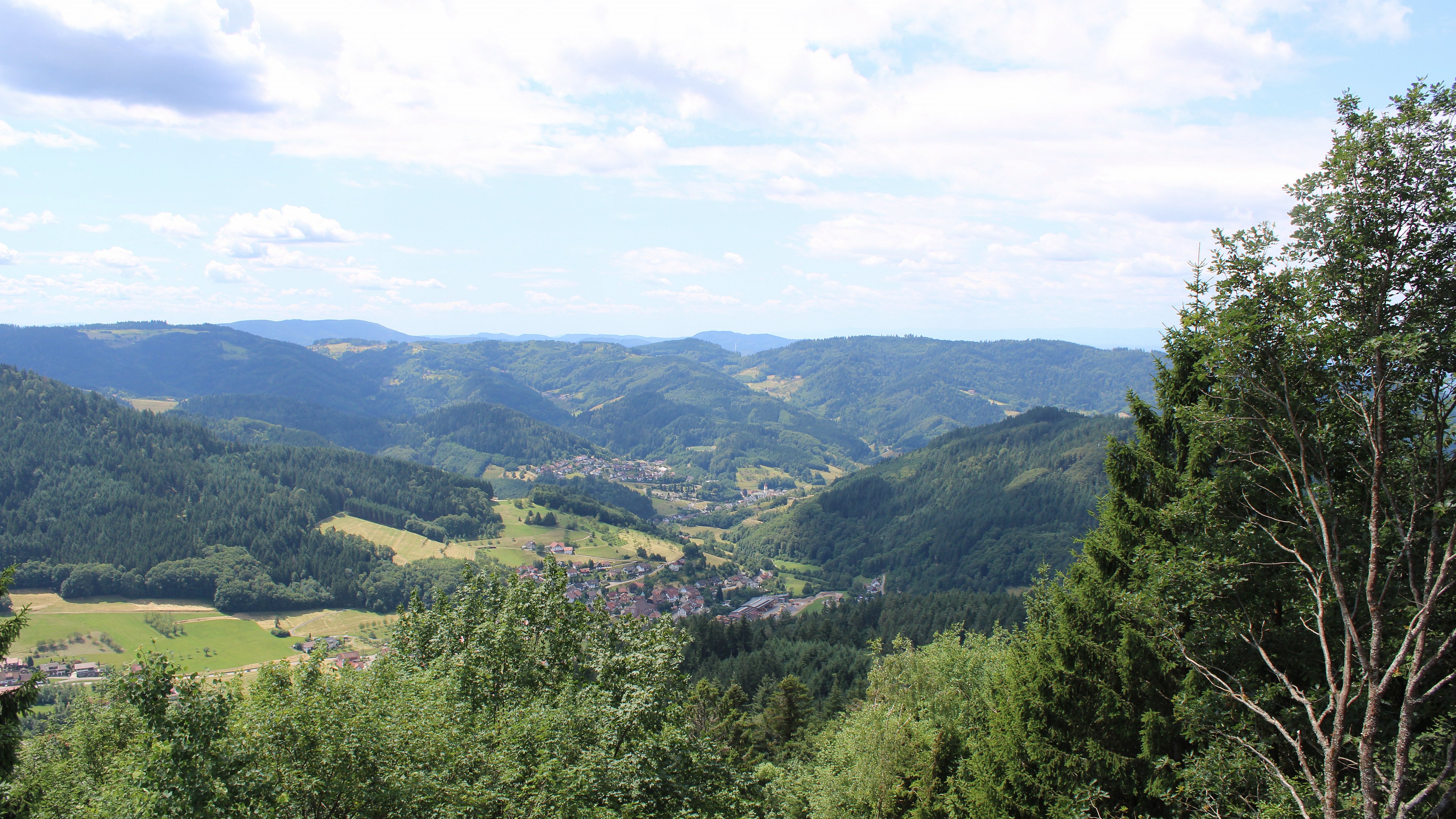 Zum Fotoarchiv vom Sonntag, 5. Juli 2026