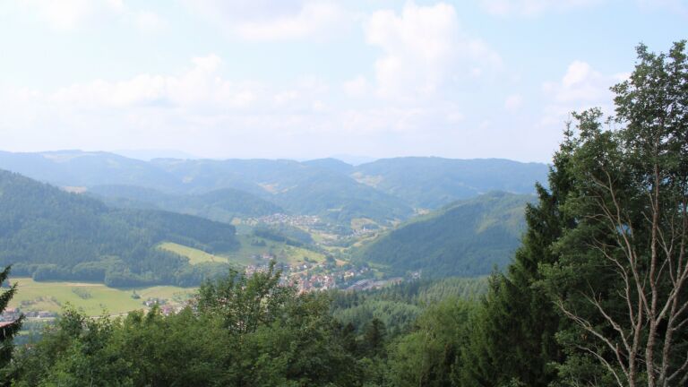 Dieses Bild zeigt eine Webcam-Aufnahme vom Achertal, aufgenommen am Sonntag, den 19.07.2026 um 11:50 Uhr. Die Temperatur betrug 17°C.