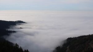 Dieses Bild zeigt eine Webcam-Aufnahme vom Achertal, aufgenommen am Montag, den 22.12.2025 um 14:20 Uhr. Die Temperatur betrug 6.8°C.