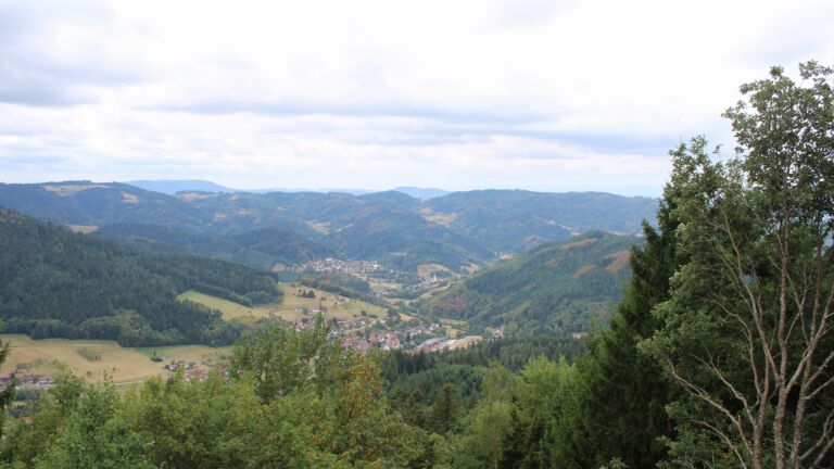 Dieses Bild zeigt eine Webcam-Aufnahme vom Achertal, aufgenommen am Dienstag, den 18.08.2026 um 11:20 Uhr. Die Temperatur betrug 19.9°C.