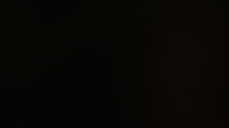 Dieses Bild zeigt eine Webcam-Aufnahme vom Achertal, aufgenommen am Donnerstag, den 20.11.2025 um 19:30 Uhr. Die Temperatur betrug -4°C.