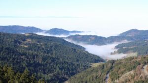 Dieses Bild zeigt eine Webcam-Aufnahme vom Achertal, aufgenommen am Mittwoch, den 25.02.2026 um 10:50 Uhr. Die Temperatur betrug 11.8°C.