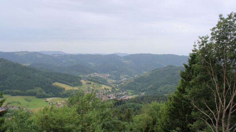 Dieses Bild zeigt eine Webcam-Aufnahme vom Achertal, aufgenommen am Dienstag, den 16.06.2026 um 11:10 Uhr. Die Temperatur betrug 20°C.