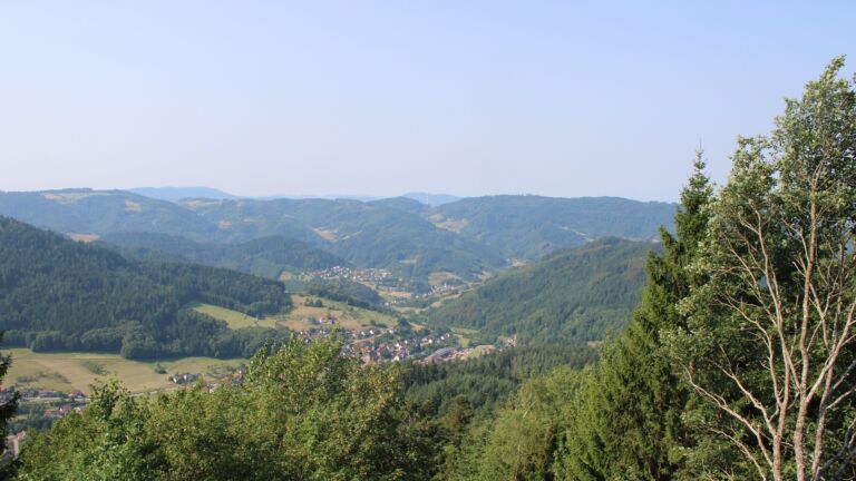 Dieses Bild zeigt eine Webcam-Aufnahme vom Achertal, aufgenommen am Donnerstag, den 30.07.2026 um 10:30 Uhr. Die Temperatur betrug 31.8°C.