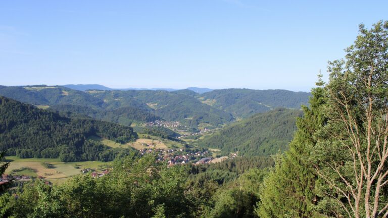 Dieses Bild zeigt eine Webcam-Aufnahme vom Achertal, aufgenommen am Freitag, den 29.05.2026 um 08:20 Uhr. Die Temperatur betrug 21.9°C.