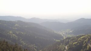 Dieses Bild zeigt eine Webcam-Aufnahme vom Achertal, aufgenommen am Samstag, den 25.04.2026 um 19:00 Uhr. Die Temperatur betrug 13.9°C.