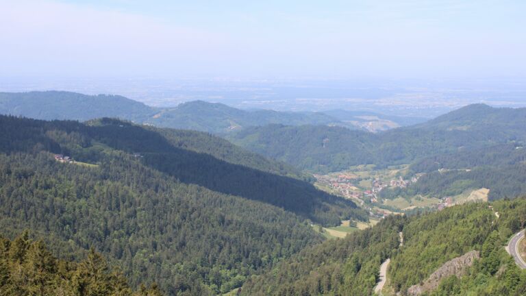 Dieses Bild zeigt eine Webcam-Aufnahme vom Achertal, aufgenommen am Montag, den 19.05.2025 um 11:50 Uhr. Die Temperatur betrug 16°C.