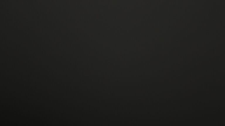 Dieses Bild zeigt eine Webcam-Aufnahme vom Achertal, aufgenommen am Sonntag, den 02.11.2025 um 23:30 Uhr. Die Temperatur betrug 2.9°C.