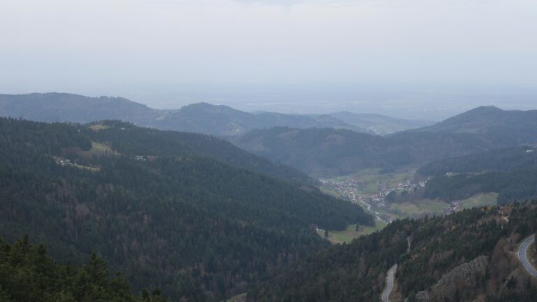 Dieses Bild zeigt eine Webcam-Aufnahme vom Achertal, aufgenommen am Samstag, den 15.11.2025 um 08:10 Uhr. Die Temperatur betrug 11.9°C.