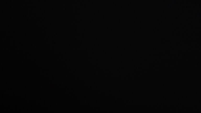 Dieses Bild zeigt eine Webcam-Aufnahme vom Achertal, aufgenommen am Dienstag, den 25.11.2025 um 06:30 Uhr. Die Temperatur betrug -0.2°C.