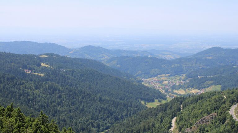 Dieses Bild zeigt eine Webcam-Aufnahme vom Achertal, aufgenommen am Freitag, den 20.06.2025 um 14:00 Uhr. Die Temperatur betrug 22°C.