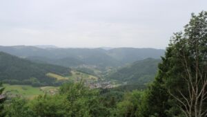 Dieses Bild zeigt eine Webcam-Aufnahme vom Achertal, aufgenommen am Dienstag, den 16.06.2026 um 11:50 Uhr. Die Temperatur betrug 20.3°C.