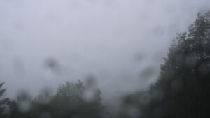 Dieses Bild zeigt eine Webcam-Aufnahme vom Achertal, aufgenommen am Donnerstag, den 11.06.2026 um 09:40 Uhr. Die Temperatur betrug 7.3°C.