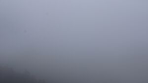 Dieses Bild zeigt eine Webcam-Aufnahme vom Achertal, aufgenommen am Freitag, den 06.02.2026 um 11:00 Uhr. Die Temperatur betrug 2.1°C.