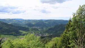 Dieses Bild zeigt eine Webcam-Aufnahme vom Achertal, aufgenommen am Sonntag, den 17.05.2026 um 12:50 Uhr. Die Temperatur betrug 13.6°C.