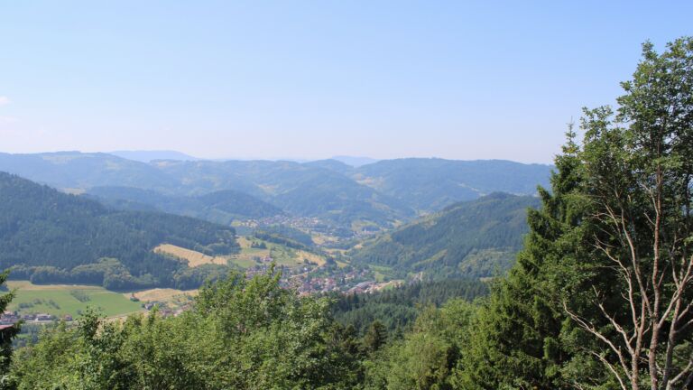 Dieses Bild zeigt eine Webcam-Aufnahme vom Achertal, aufgenommen am Mittwoch, den 24.06.2026 um 12:20 Uhr. Die Temperatur betrug 30.5°C.