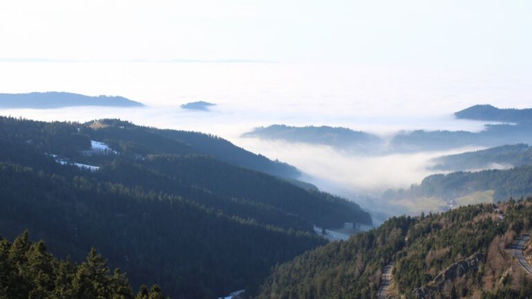 Dieses Bild zeigt eine Webcam-Aufnahme vom Achertal, aufgenommen am Montag, den 19.01.2026 um 14:50 Uhr. Die Temperatur betrug 9.1°C.