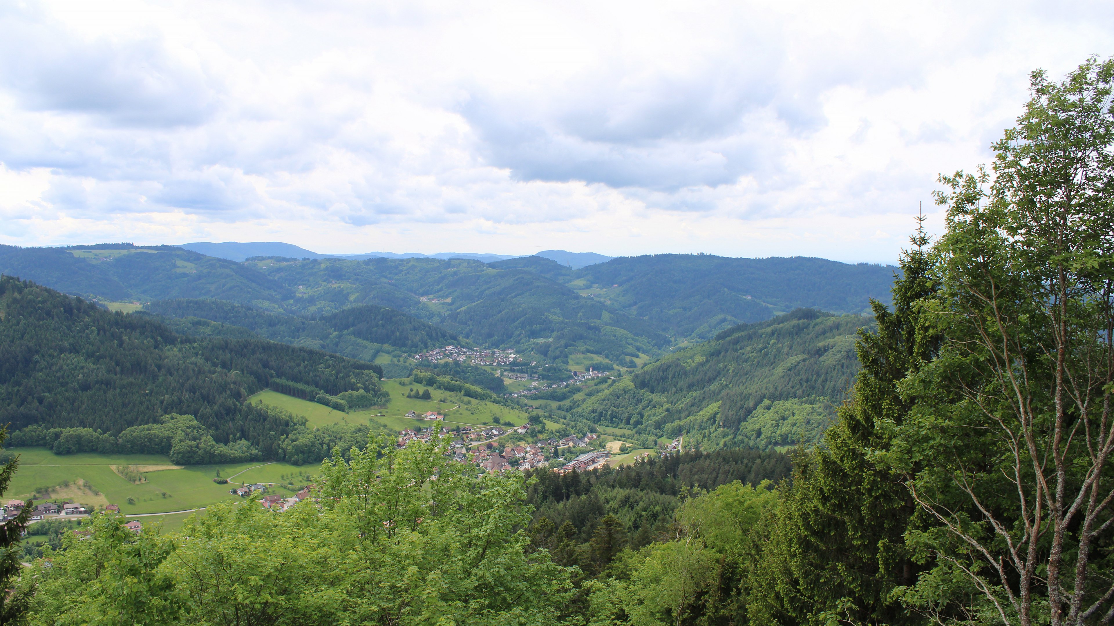 Zum Fotoarchiv vom Dienstag, 19. Mai 2026