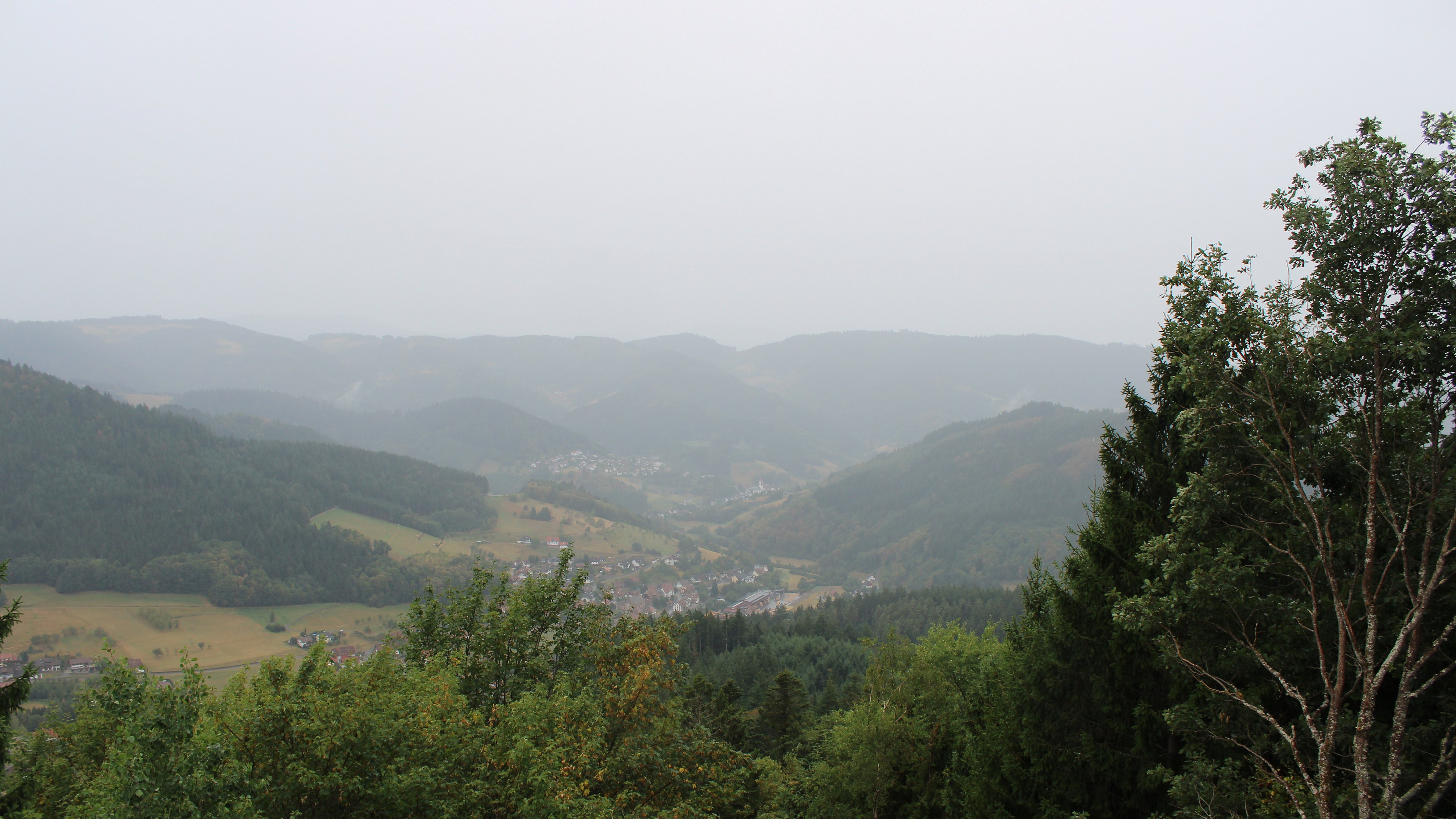 Zum Fotoarchiv vom Freitag, 21. August 2026