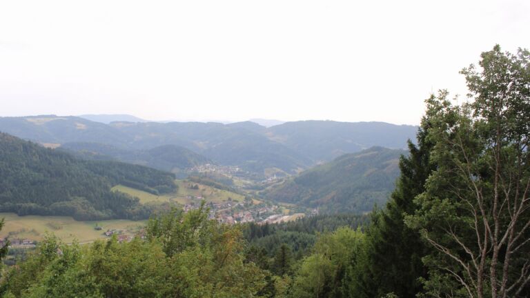 Dieses Bild zeigt eine Webcam-Aufnahme vom Achertal, aufgenommen am Donnerstag, den 27.08.2026 um 17:10 Uhr. Die Temperatur betrug 29.2°C.