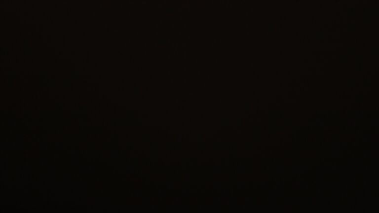 Dieses Bild zeigt eine Webcam-Aufnahme vom Achertal, aufgenommen am Dienstag, den 25.11.2025 um 19:00 Uhr. Die Temperatur betrug -0.4°C.