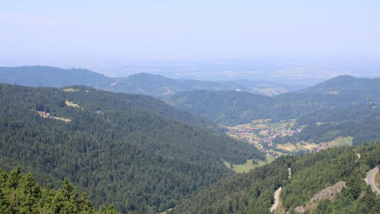 Dieses Bild zeigt eine Webcam-Aufnahme vom Achertal, aufgenommen am Mittwoch, den 18.06.2025 um 11:30 Uhr. Die Temperatur betrug 23.2°C.