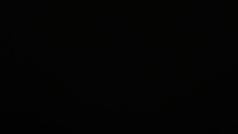 Dieses Bild zeigt eine Webcam-Aufnahme vom Achertal, aufgenommen am Donnerstag, den 17.07.2025 um 02:30 Uhr. Die Temperatur betrug 10.7°C.