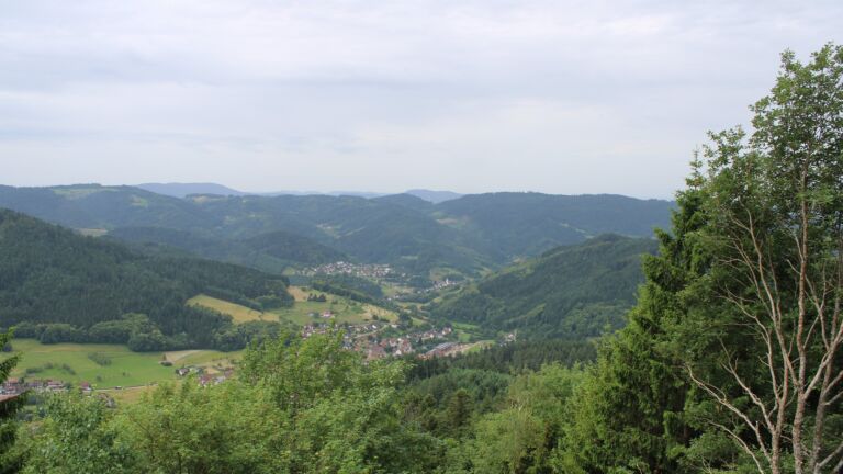 Dieses Bild zeigt eine Webcam-Aufnahme vom Achertal, aufgenommen am Dienstag, den 16.06.2026 um 11:30 Uhr. Die Temperatur betrug 20.3°C.