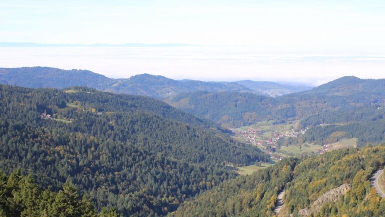 Dieses Bild zeigt eine Webcam-Aufnahme vom Achertal, aufgenommen am Mittwoch, den 08.10.2025 um 11:20 Uhr. Die Temperatur betrug 16.2°C.